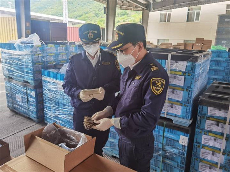 ส่งเสริมการค้าต่างประเทศเพื่อความมั่นคงและปรับปรุงคุณภาพ Ningbo Customs ออกมาตรการ 